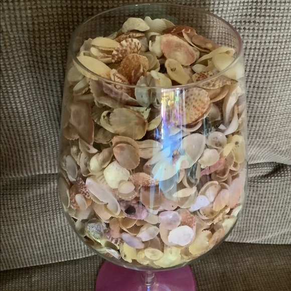 Hawaiian seashells - Picture 2 of 3